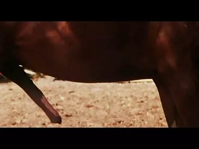 Kinsley Eden, Chad White នៅក្នុងពពួក Worm Books