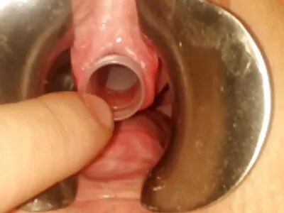 វីដេអូ Anal Queen Escort (Danny D, Phoenix Marie)