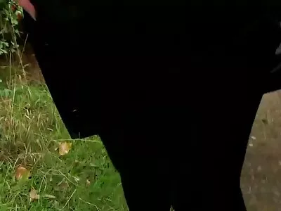 អាហារដ្ឋាន Cock Picnic របស់ Victoria Lawson