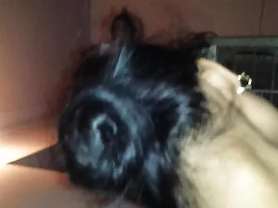 Goldfinger My Pussy video (Kimber Kay)